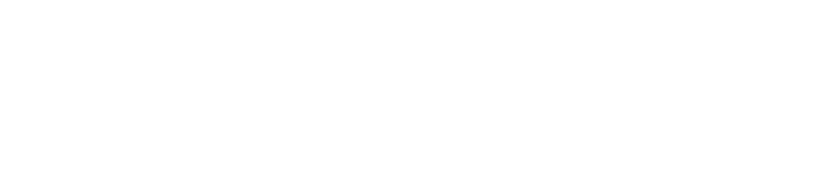 StoneMindCEO